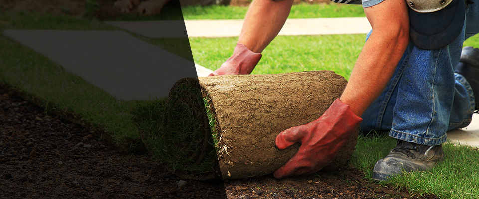 Anthony Landscapers